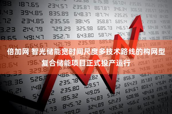 倍加网 智光储能宽时间尺度多技术路线的构网型复合储能项目正式投产运行