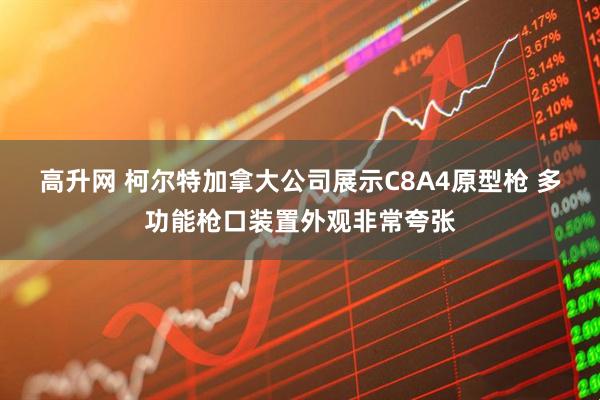 高升网 柯尔特加拿大公司展示C8A4原型枪 多功能枪口装置外观非常夸张