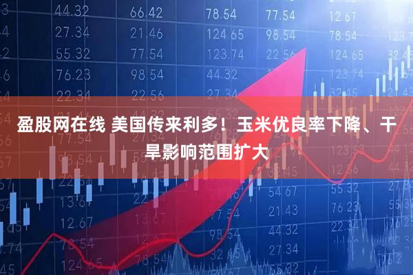 盈股网在线 美国传来利多！玉米优良率下降、干旱影响范围扩大