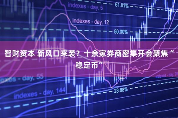 智财资本 新风口来袭？十余家券商密集开会聚焦“稳定币”