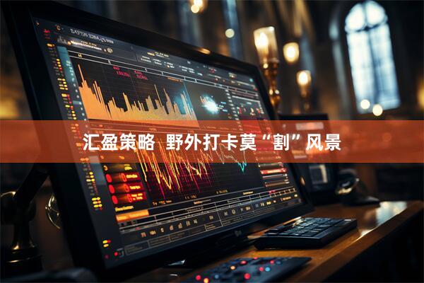 汇盈策略  野外打卡莫“割”风景