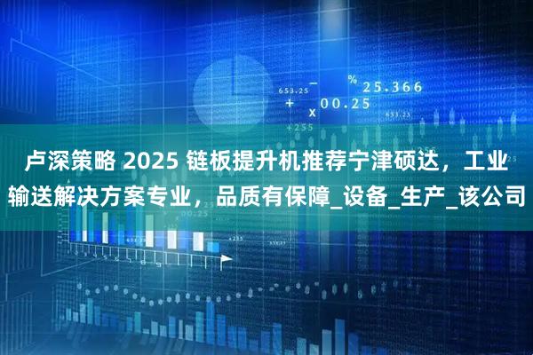 卢深策略 2025 链板提升机推荐宁津硕达，工业输送解决方案专业，品质有保障_设备_生产_该公司
