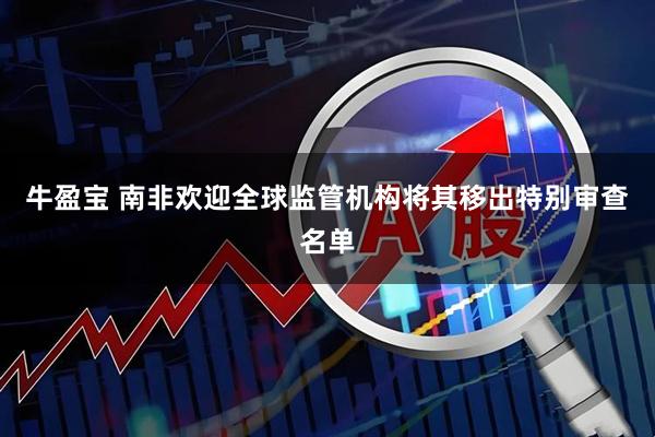 牛盈宝 南非欢迎全球监管机构将其移出特别审查名单
