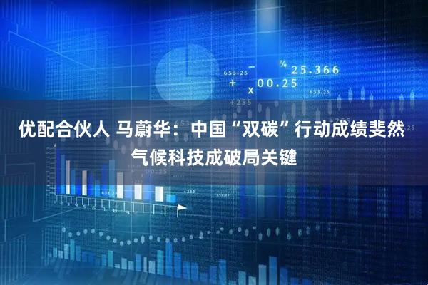 优配合伙人 马蔚华:中国“双碳”行动成绩斐然 气候科技成破局关键