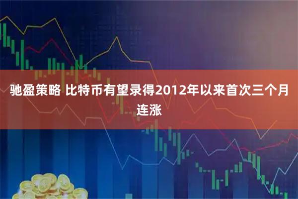 驰盈策略 比特币有望录得2012年以来首次三个月连涨